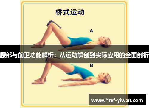 腰部与前卫功能解析:从运动解剖到实际应用的全面剖析 腰部与前卫功能解析:从运动解剖到实际应用的全面剖析