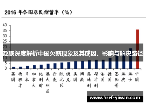 赵鹏深度解析中国欠薪现象及其成因、影响与解决路径