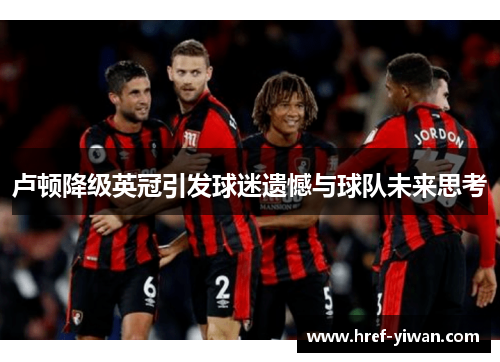 卢顿降级英冠引发球迷遗憾与球队未来思考 卢顿降级英冠引发球迷遗憾与球队未来思考