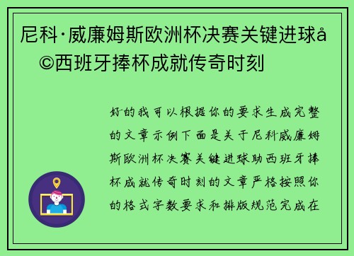 尼科·威廉姆斯欧洲杯决赛关键进球助西班牙捧杯成就传奇时刻
