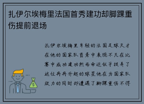 扎伊尔埃梅里法国首秀建功却脚踝重伤提前退场